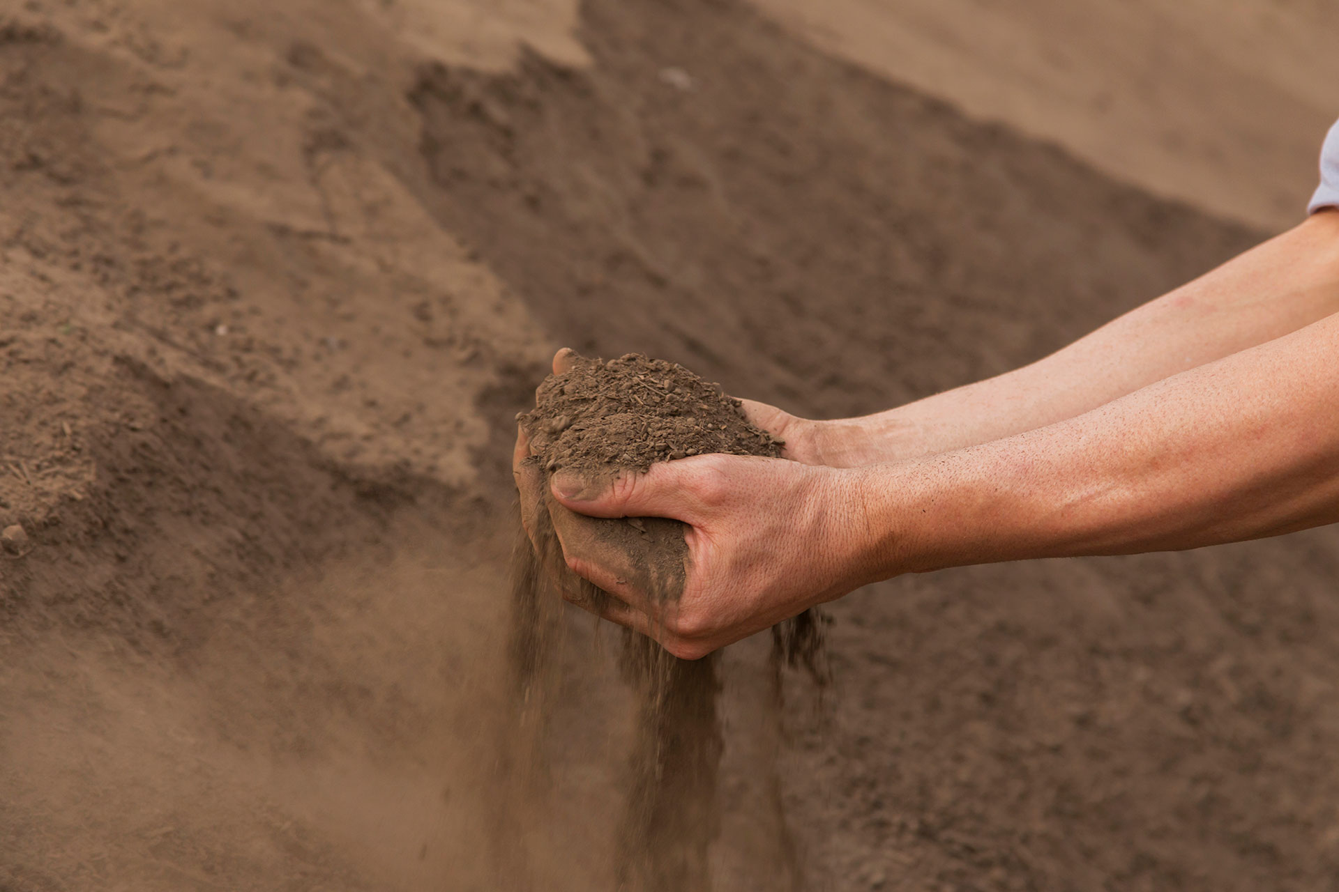 Foto-Benefícios-da-Compostagem—Cultivar—Cultivar