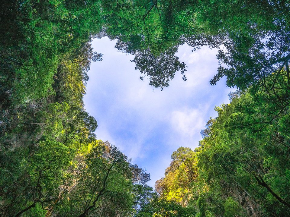 Compensação Ambiental