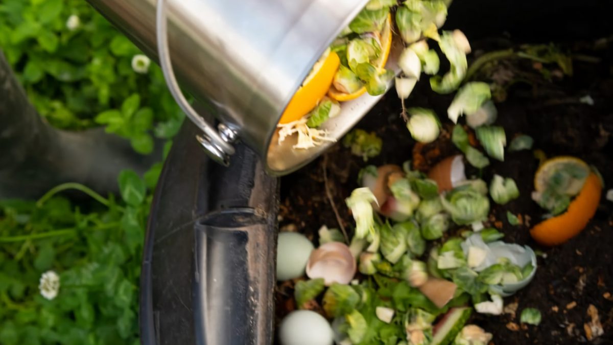 5 maneiras de reaproveitar o lixo orgânico da sua fazenda