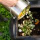 5 maneiras de reaproveitar o lixo orgânico da sua fazenda