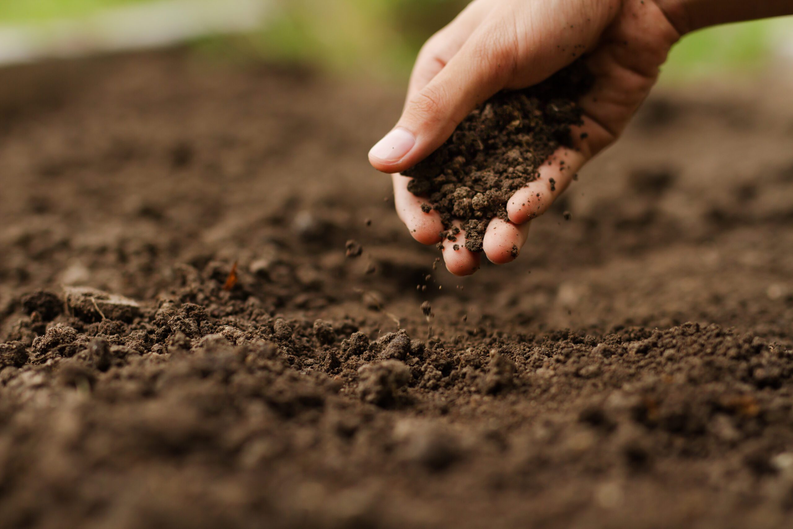 FERTILIZANTES TERRA DE CULTIVO