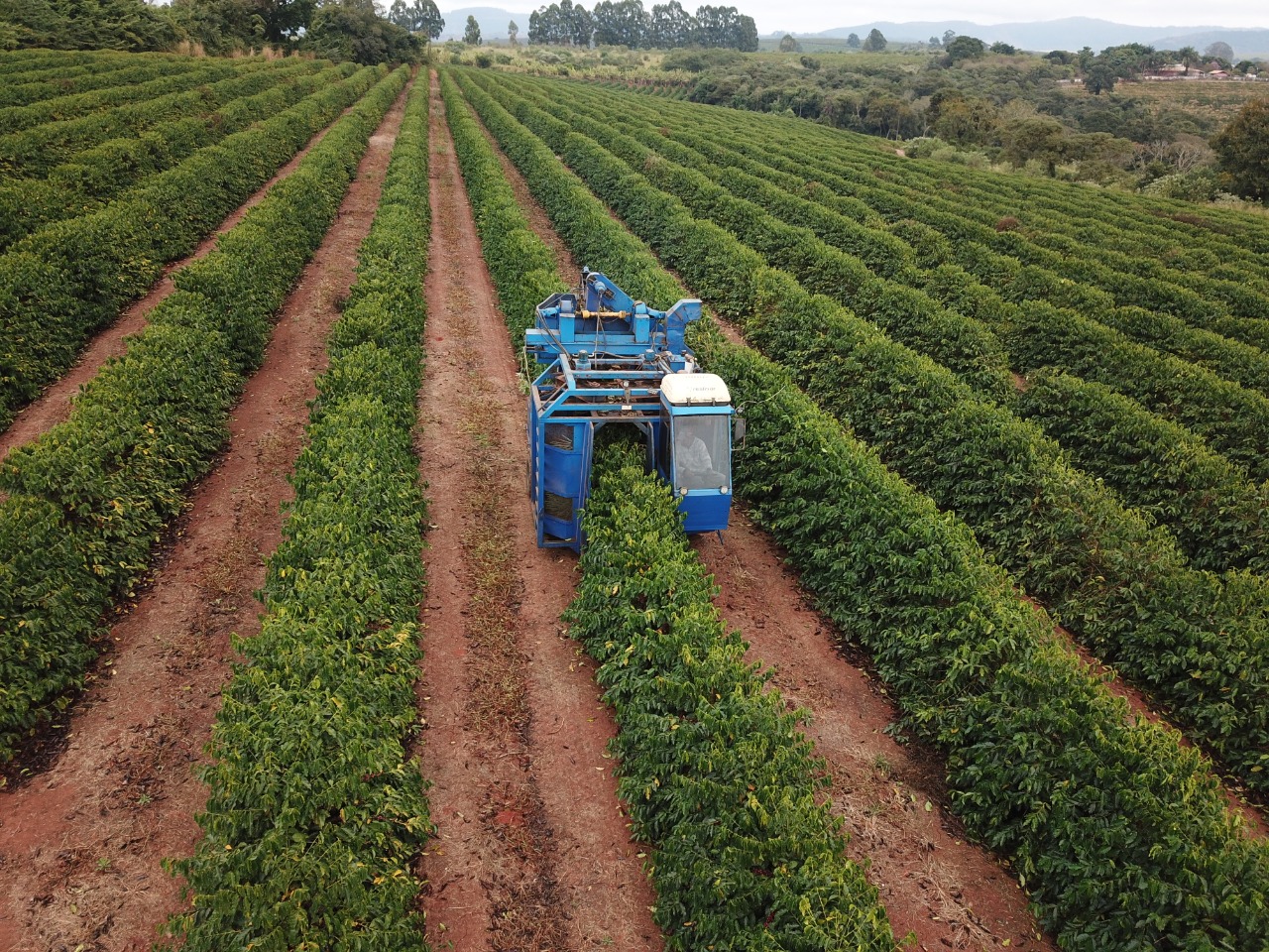 Compare O Trabalho De Cultivar Diferentes Produtos Agrícolas