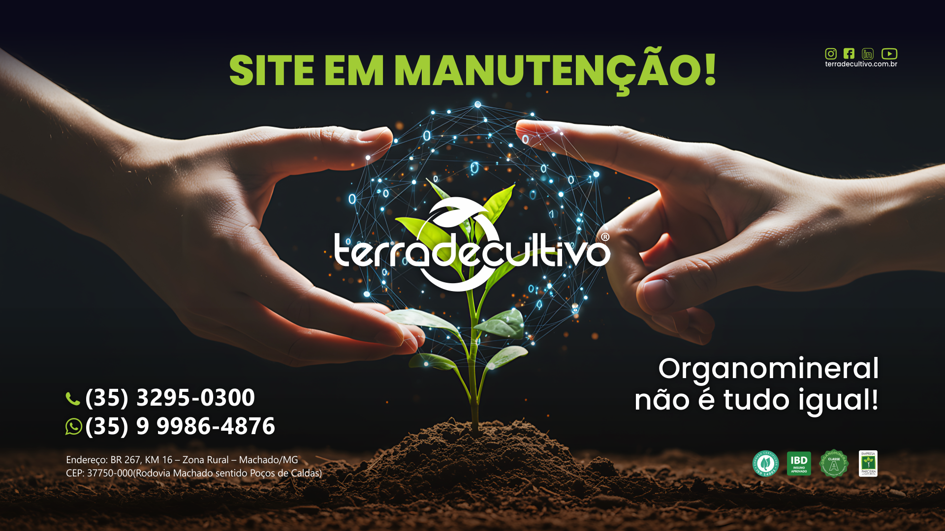 TELA SITE_1080X1920_TC_2025